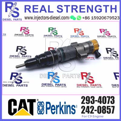 Cina Iniettore diesel 387-9432 10R-7223 387-9431 293-4073 della pompa per Caterpillar C9 Engin Common Rail diesel in vendita