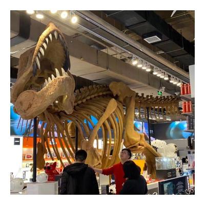 China High quality life size product dinosaur display park dinosaur motor silicon rubber+ metal frame+ foam+ skeletal fossils model for sale for sale