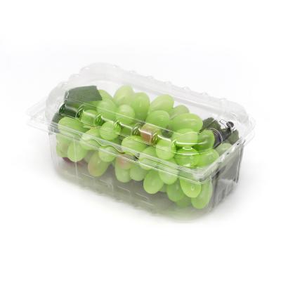 China Vacuum Formed Blister clear PET fruit clamshell Packaging for sale