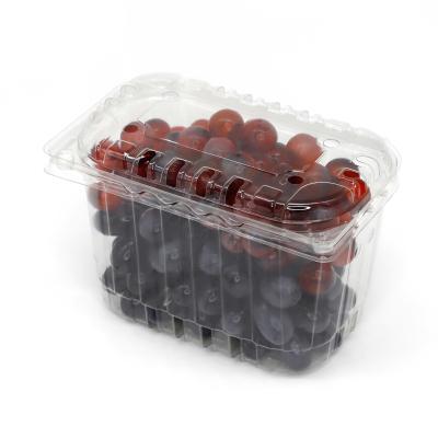 China Vacuum Formed Blister clear PET fruit clamshell Packaging for grape for sale