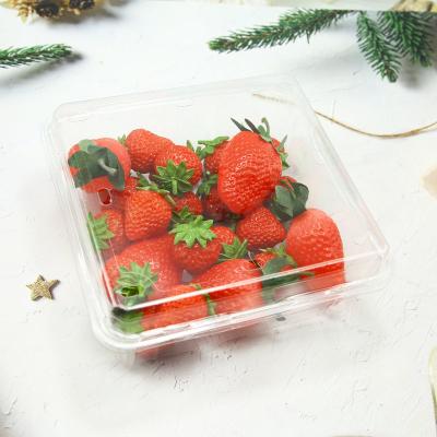 China Clear plastic PET fruit packaging for sale