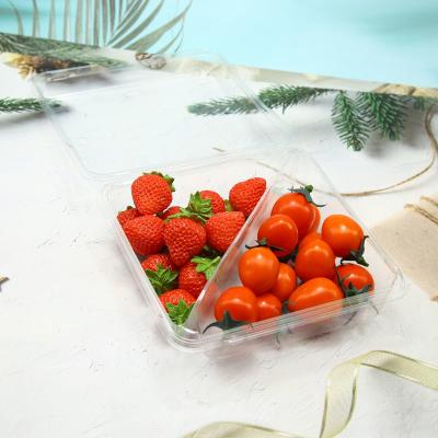 China plastic clear 2 compartments fruit salad container box for sale