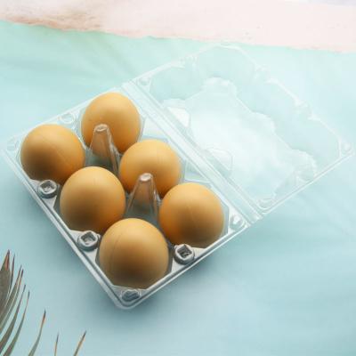 China plastic clear PET 6 holes chicken egg tray for sale