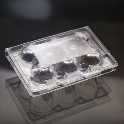 China plastic clear PET 6 holes quail egg tray for sale