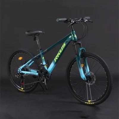 China Steel Customize Various Configurations Bicycles 20/24/26/27.5/29 Inch Variable Speed ​​Mountain Bike For Hot Sale for sale