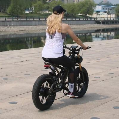 China Wholesale Supply 48v 500w 10ah 20inch Wholesale Tire Mountain Snow Electric Bike Adult E-bike Chinese Steel Electric Bike with Low Price for sale