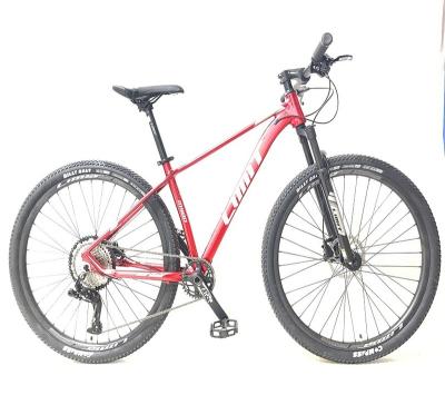 China Aluminum alloy 12 speed mountain bike adult /student cross country racing bike MTb bike for sale