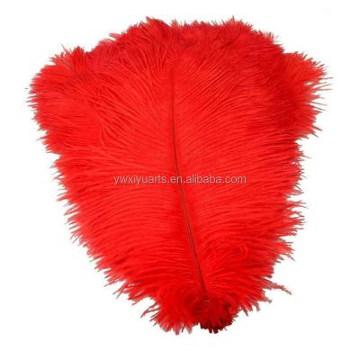 China Ostrich Feathers Hot Sale Cheap Ostrich Feathers 15-80 cm Red Ostrich Feather for Sale for sale