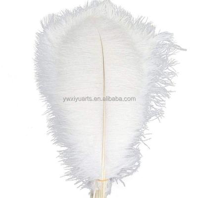 China Ostrich Feathers Whole Sale Fluffy 6-32 inch White Large Ostrich Feathers for Wedding Centerpieces for sale