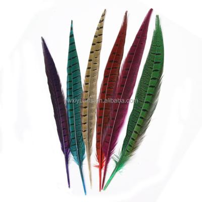 China Carnival Carnival Feathers Pheasant Feathers 10-70 cm Ringneck Pheasant Feathers for sale