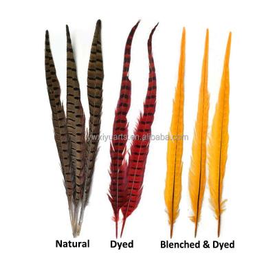 China Carnival Wholesale Natural Dyed Blenched Ringneck Pheasant Feathers long 10-70 cm for sale