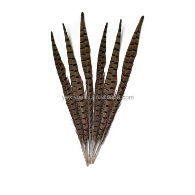 China Carnival Whole Sale 10-70 cm Plumas de Faisan Naturales en Especial for Carnival Feathers for sale