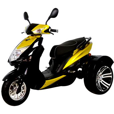 China Customizable Passenger Manufacturer CE H-2 60V 800W 3 Wheel Motorcycle for sale