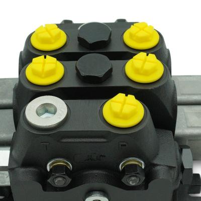 China Construction machinery 12 volt hydraulic control valves Hydraulic fittings double Variable Vane Pump made in China for sale