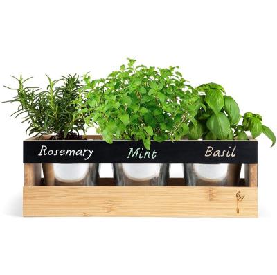 China Minimalist Farmhouse Kitchen Window Planter Box - Succulent, Flower and Herb Garden - Indoor and Outdoor - Includes Rectangle Bamboo Wood Plant for sale