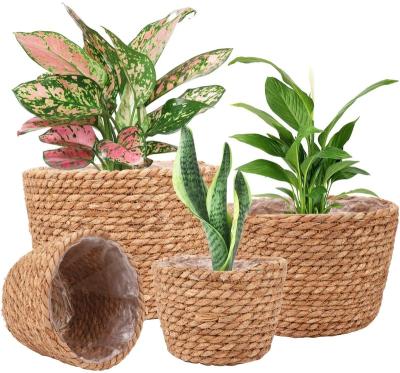 China Wholesale Minimalist Plant Plankton Belly Basket Top Quality Plant Plankton Woven Basket Made in China for sale