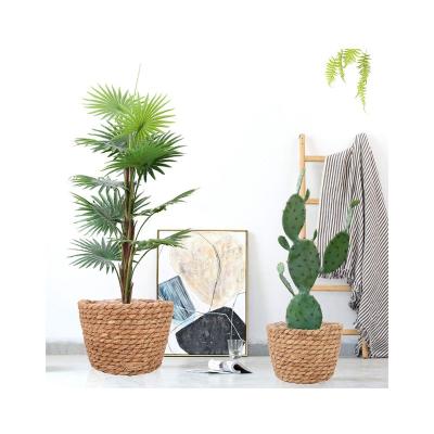 China Wholesale new type low price plant plankton belly basket woven plant plankton basket made in China for sale