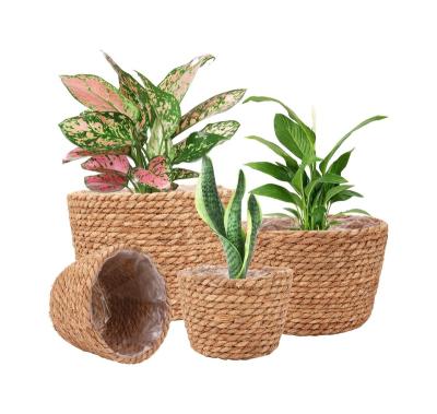 China Wholesale Hot Selling Minimalist Plant Plankton Belly Woven Basket Good Quality Plant Plankton Belly Basket Made in China for sale