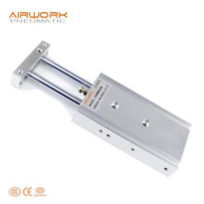 China Factory Double Double Rod CXS Twin Air Pneumatic Cylinder With Slide Bearing And Ball Guide Bearing Type for sale