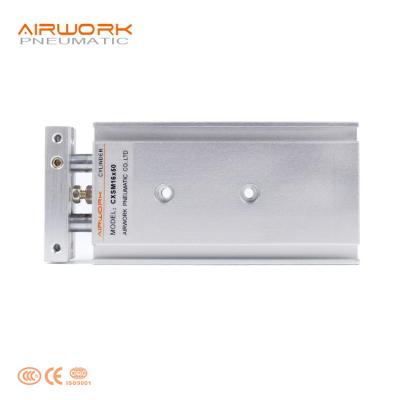 China Factory Double Double Rod CXS16X50 Twin Air Pneumatic Cylinder With Slide Bearing And Ball Guide Bearing Type for sale