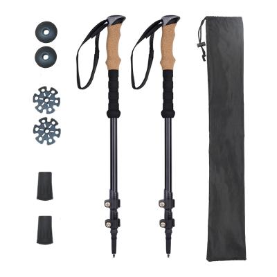 China 2022 Aluminum Telescopic Extension Style Carbon Fiber Staff Cheap Direct Factory Supply Price Alu7075 New Buy Nordic Poles for sale