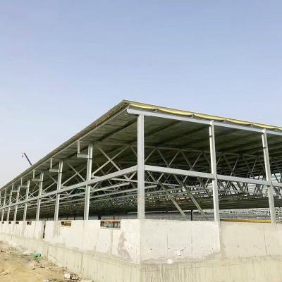 China Economic Steel Aircraft Hangar Prefabricated Industrial Shed Building Workshop for sale