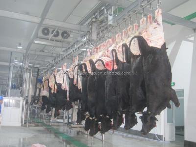 China Halal Livestock Cattle Slaughterhouse for 100 head per day for sale