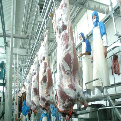 China Halal Cattle Meat Complete Cattle Slaughtering Box Kosher Line for 100 Heads Per Day for sale