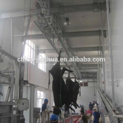 China Complete Halal Cattle Meat Cattle Slaughtering Line for 100 Heads Per Day for sale