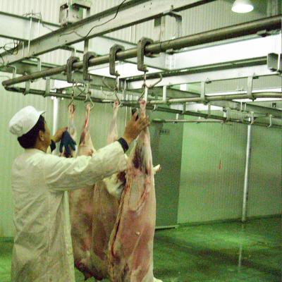 China Full Sheep Sheep Slaughterhouse for sale