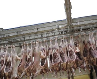 China Sheep Slaughterhouse / Sheep Goat Slaughtering Equipment for sale