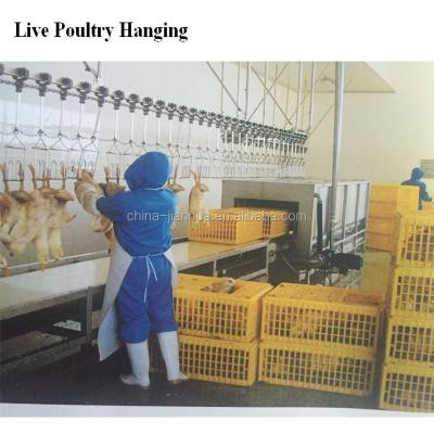 China POULTRY Live Poultry Hanging and Electric Numb Machine for sale