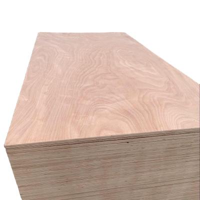 China Waterproof Plywood Low Price 18mm 4x8 Modern 4x8 18mm Sheet for sale