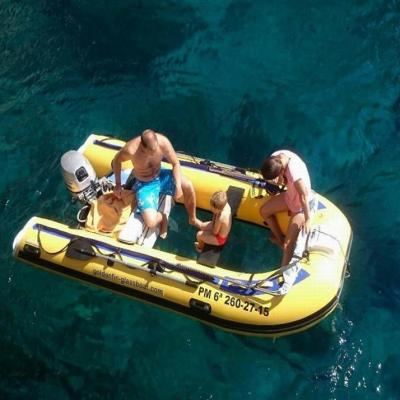 China PVC 9ft Transparent Bottom Rib Inflatable Boat TF-270 for sale