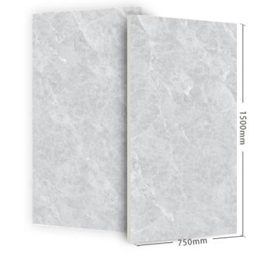 China Modern 750mmx1500mm Porcelain Tiles with Rocky Surface for sale