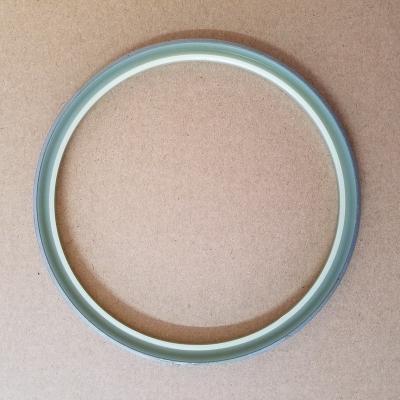 China Oil Resistor Bushing Lip Seal 2438U1097S29 2438U1097S18 for sale