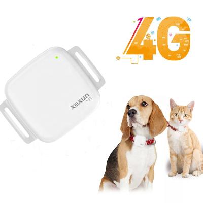 China Waterproof Micro Automotive Pet Gps Tracking Device X05 Mini Pet Gps Tracker For Dog / Cow / Large Pet And Animal for sale