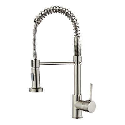 China Other TIME Style Ceramic Brass Single Finish Outdoor Family Outdoor Single Handle Kitchen Faucet Mixer Sink Long Neck Hotel Spray Core for sale