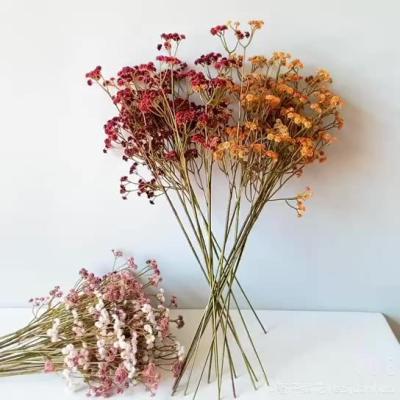 China Plastic Babysbreath Touch Real Nature Artificial Flower For Home Wedding Decorations for sale