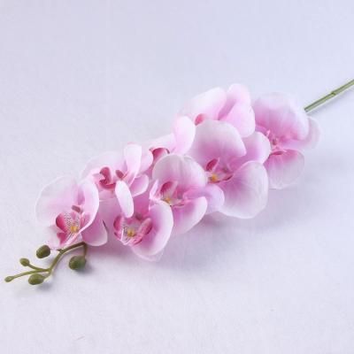 China Real touch nature artificial silk phalaenopsis white orchid for sale