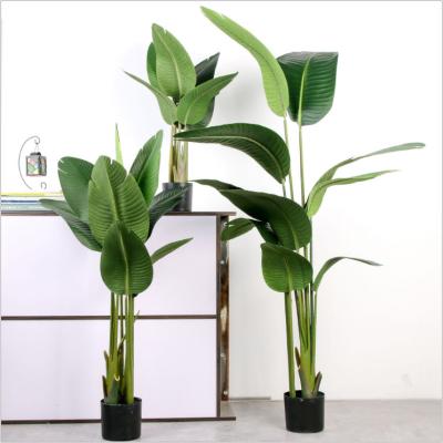 China High Quality Real Touch Nature Artificial Banana Tree Plant For Hotel Decor for sale