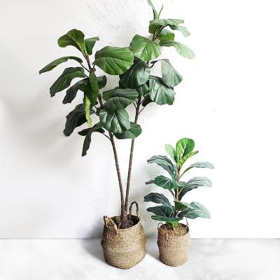 China Touch Real Nature Big Leaf Size 80cm/120cm/150cm Hance Green Bonsai Ficus Pandurata Artificial Fiddle Leaf Tree Fig for sale