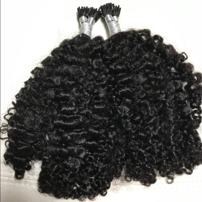 China Kinky Curly Raw Virgin Unprocessed Virgin Hair Extensions Brazilian Mink I Curly Curly for sale