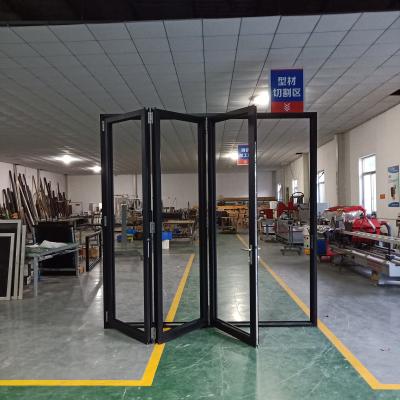 China Roomeye Folding Folding Door Certified Bi Folding Door for sale