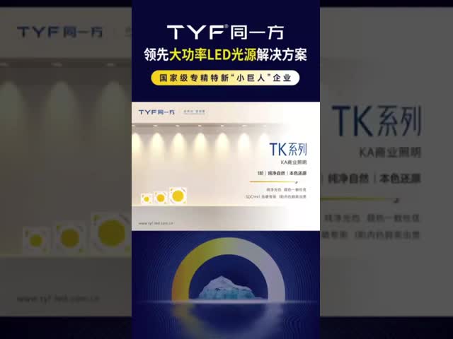 TYF TK Comercial Lighting