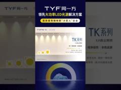 TYF TK Comercial Lighting