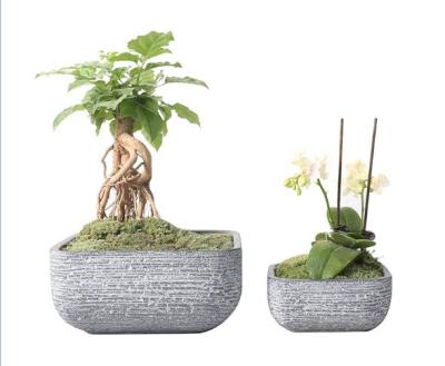 China Eco - Friendly Outdoor Small Garden Pots Durable Square Flower Pots Cement Plant Pot for sale