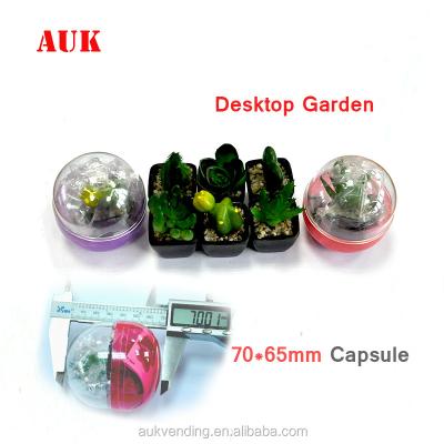 China 70*65MM Plastic Gashapon Capsule Toys For G70 Vending Machine for sale