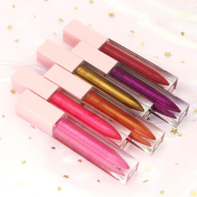 China High Quality Private Label Lip Gloss Moisturizer DIY Waterproof Vegan Lip Gloss for sale