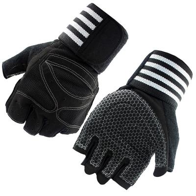 China Elastane Sports Exercise Gym Bodybuilding Weightlifting Gloves for sale